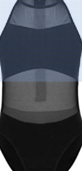 Digital image of a black high-neck leotard featuring sheer mesh panels on the upper chest and mid-torso